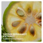 Cholesterol Support Supplement with Citrus Bergamot 60 Caps