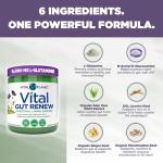 Vital Gut Renew Powder for Leaky Gut Repair