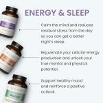 Mind Lift - Mood Boost & Mental Focus Supplement