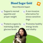 Pet Wellbeing Blood Sugar Gold for Dogs