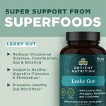 Vegan Gut Health Capsules with Natural Ingredients