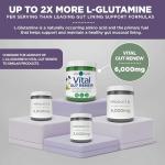 Vital Gut Renew Powder for Leaky Gut Repair