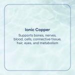 Ionic Copper Supplement for Blood Health - 2 fl oz
