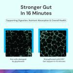 ION Gut Support Liquid Drops for Digestive Health