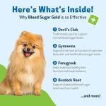 Pet Wellbeing Blood Sugar Gold for Dogs