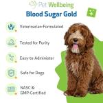 Pet Wellbeing Blood Sugar Gold for Dogs