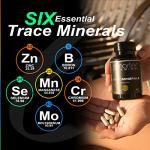 Zinc Glycinate & Trace Minerals Vegan Capsules