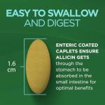 Garlique Vegan Garlic Extract for Blood Sugar Support