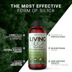 Plant-Based Collagen Booster for Glowing Skin