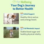 Pet Wellbeing Blood Sugar Gold for Dogs