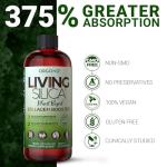 Plant-Based Collagen Booster for Glowing Skin