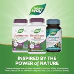 Blood Sugar Support with Gymnema Extract, 90 Capsules