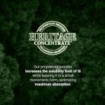 Plant-Based Collagen Booster for Glowing Skin