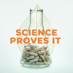 LifeSeasons Bone Densi-T for Bone Health Support