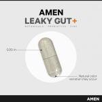 Vegan Gut Health Supplement with Probiotics - 90 Capsules