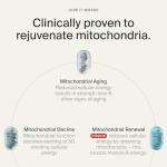 Mitopure Urolithin A Softgels for Healthy Aging