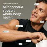 Mitopure Urolithin A Softgels for Healthy Aging