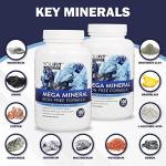 Vegan Mega Minerals Supplement for Immune Health