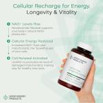 Urolithin A & NAD+ Energy Booster Capsules