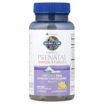 Garden of Life Vegan Prenatal DHA Softgels 60