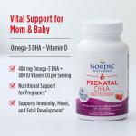 Nordic Naturals Prenatal DHA Soft Gels 120 Count