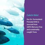 Garden of Life Vegan Prenatal DHA Omega 3 Softgels