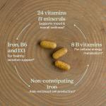 New Chapter Postnatal Vitamins for Lactation Support