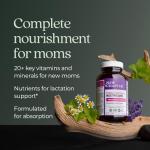 New Chapter Postnatal Vitamins for Lactation Support