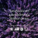 New Chapter Postnatal Vitamins for Lactation Support