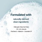 ROUND LAB Dokdo Low pH Vegan Facial Cleanser