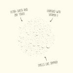 Vegan SPF 30 Scalp & Hair Sunscreen Mist