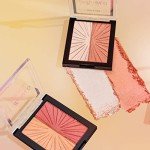 Wet n Wild Blushlighter Set - Shimmery Finish