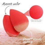 BEAKEY Vegan Makeup Sponge Set - 5 Pcs