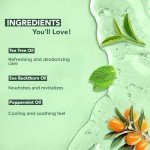 Tea Tree Body Wash - 16 oz, Set of 2