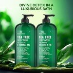 Tea Tree Body Wash - 16 oz, Set of 2