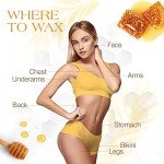 GiGi All Purpose Vegan Hair Removal Wax, 14 oz