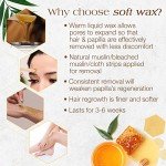 GiGi All Purpose Vegan Hair Removal Wax, 14 oz