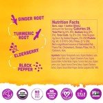 Elderberry Immunity Boost Wellness Shot - Vive Organic