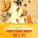 Elderberry Immunity Boost Wellness Shot - Vive Organic