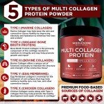 Vegan Multi Collagen Protein Powder, 58 Servings