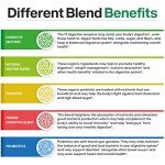 Vegan Digestive Enzymes & Probiotics, 180 Capsules