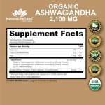 Organic Ashwagandha Capsules - Stress Relief & Mood Boost