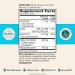 Vegan Memory and Focus Supplement - 30 Capsules