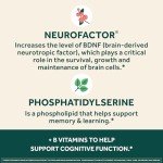 Vegan Memory and Focus Supplement - 30 Capsules