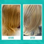 Malibu C Hard Water Wellness Hair Care Set