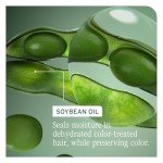 Matrix Biolage Colorlast Shampoo - 1L Vegan Formula