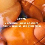 Vegan Argan Oil Shampoo & Conditioner Set