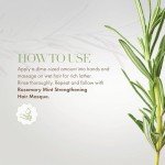 Mielle Organics Rosemary Mint Strengthening Shampoo, 12 oz