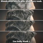 Vegan Grey Reducing Shampoo for Lighter Hair