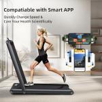 NAYSAYE 2-in-1 Folding Walking Pad Treadmill